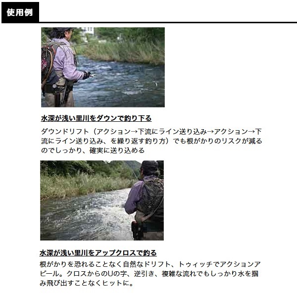 Ｄ－コンパクト　ＦＥＳ　４５